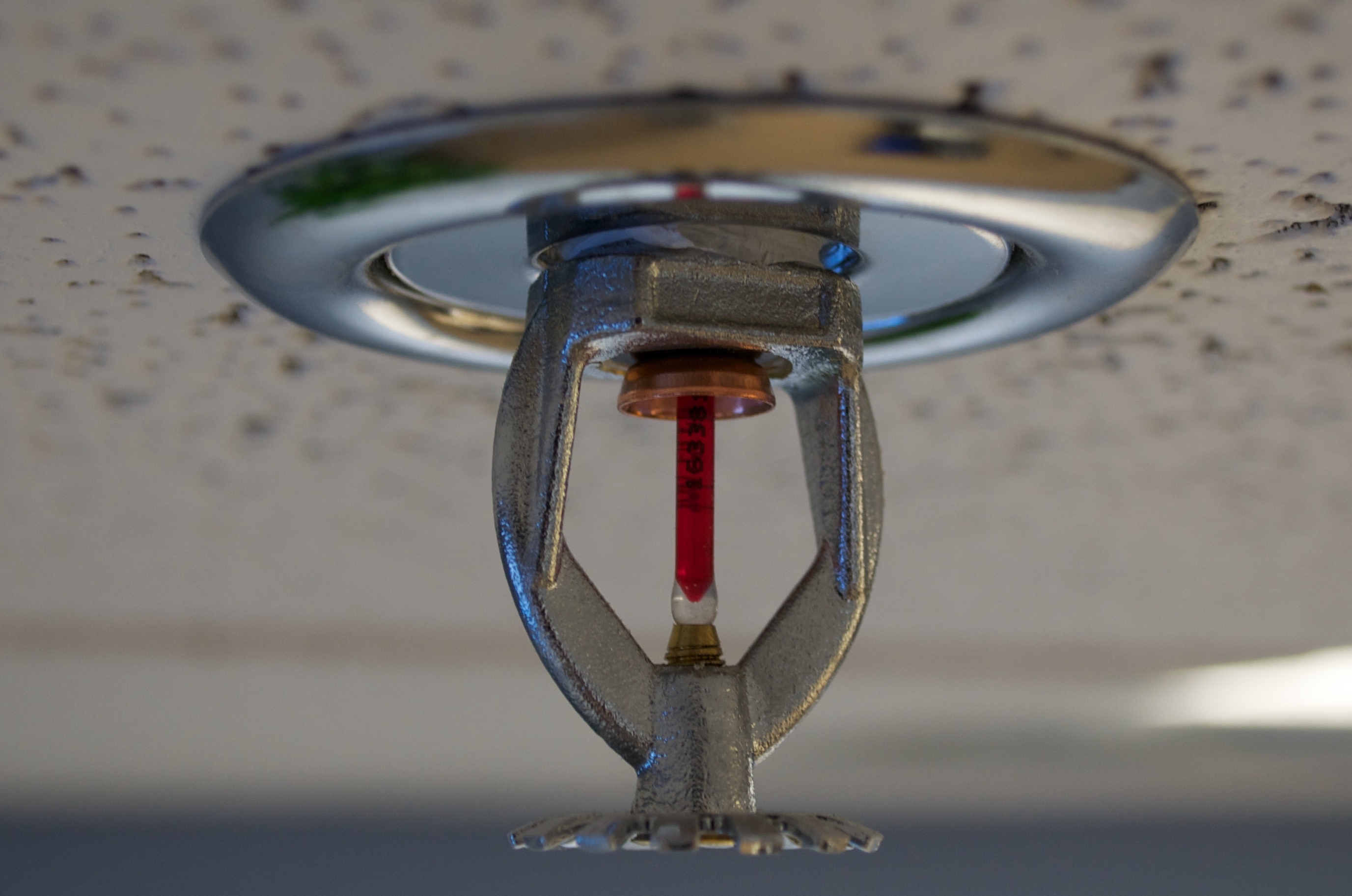Pendant fire sprinkler head with a red glass bulb on a drop ceiling